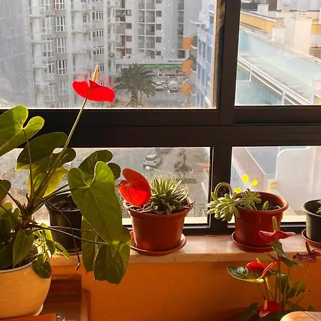 Sun & Fun In Apartment *